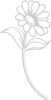 Sunflower vector