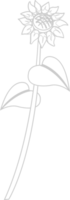 Sunflower vector