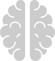 Brain vector