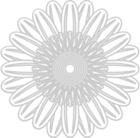 girasol vector