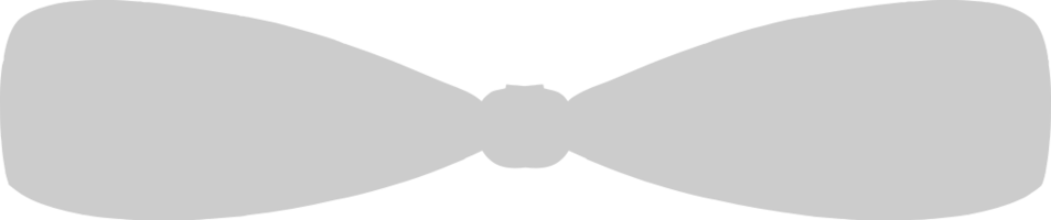 Bow Tie vector