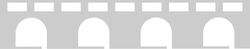 Bridge vector