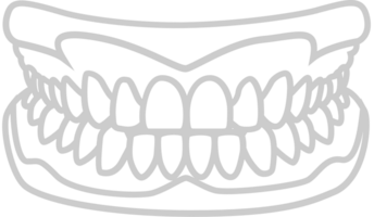 Teeth vector