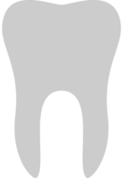 Teeth vector