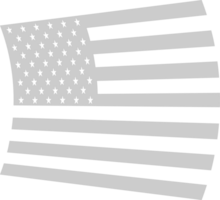 American Flag vector