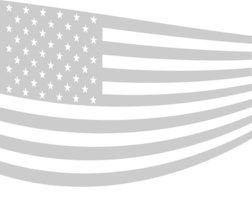 American Flag vector