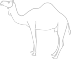 Egipto icono camello vector