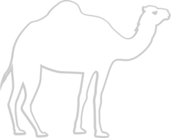 Egyptian camel vector