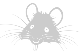ratón animal cabeza vector
