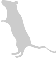 animal ratón vector