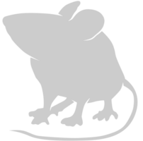 Mouse animal vector