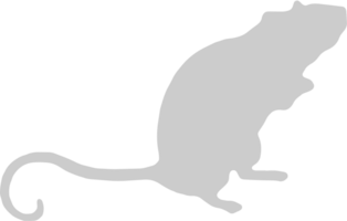 Mouse animal vector