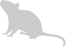 animal ratón vector