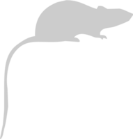 animal ratón vector