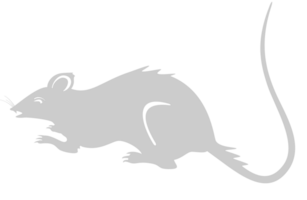 Mouse animal vector