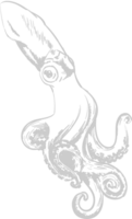 Octopus hand drawn vector