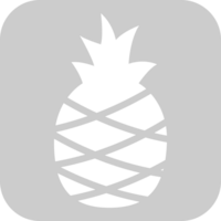 Pineapple rectangle icon vector
