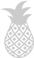 Pineapple  vector