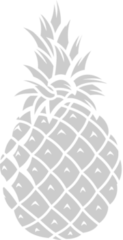 piña vector
