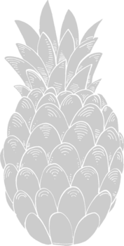 Pineapple  vector