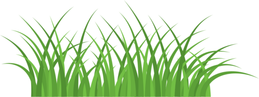 Grass vector