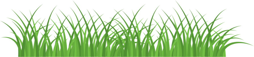 Grass vector