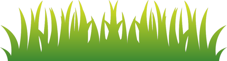 Grass vector