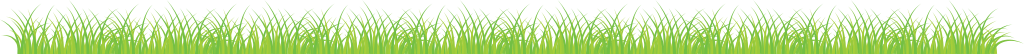 Grass vector