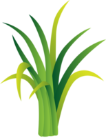 Grass vector