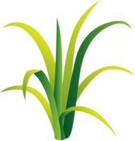 Grass vector