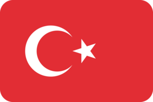 Turkey Flag vector