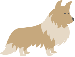 Dog vector