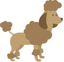 Dog vector