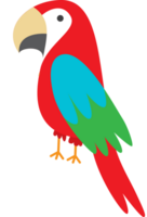 Parrot vector