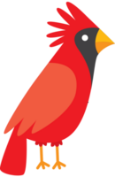 cardenal vector