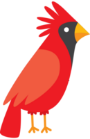 Cardinal vector