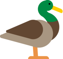 Duck vector