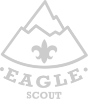 Eagle scout badge vector