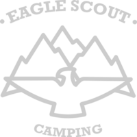 Eagle scout badge vector