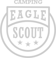 Eagle scout badge vector
