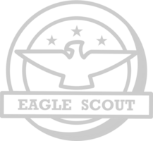 Eagle scout badge vector