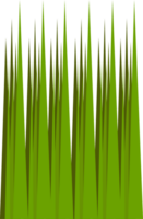 Grass vector