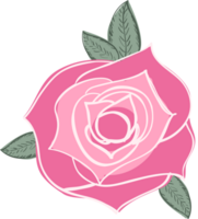 Rose vector