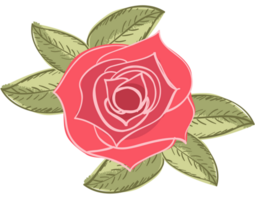 Rose vector