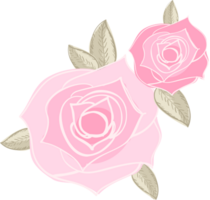 Rose vector