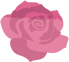 Rosa vector