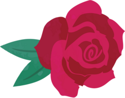 Rosa vector