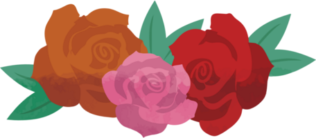 Rose vector