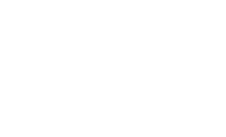 Hawk vector