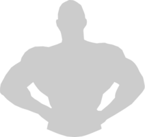 Muscle men half body vector